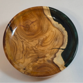 The Shoreline Tray
