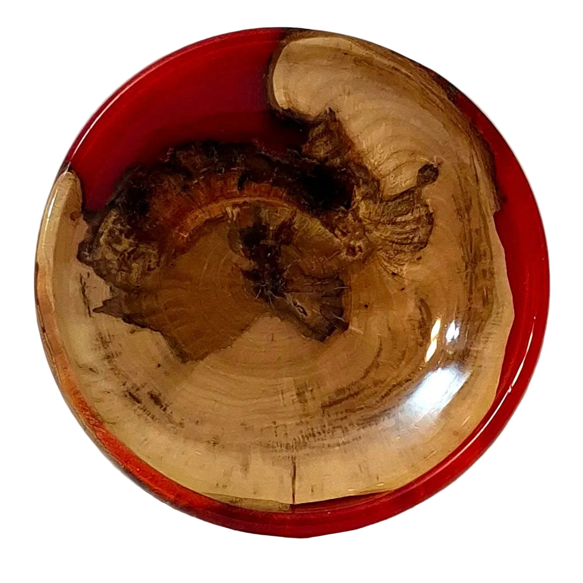 Scarlet Orbit