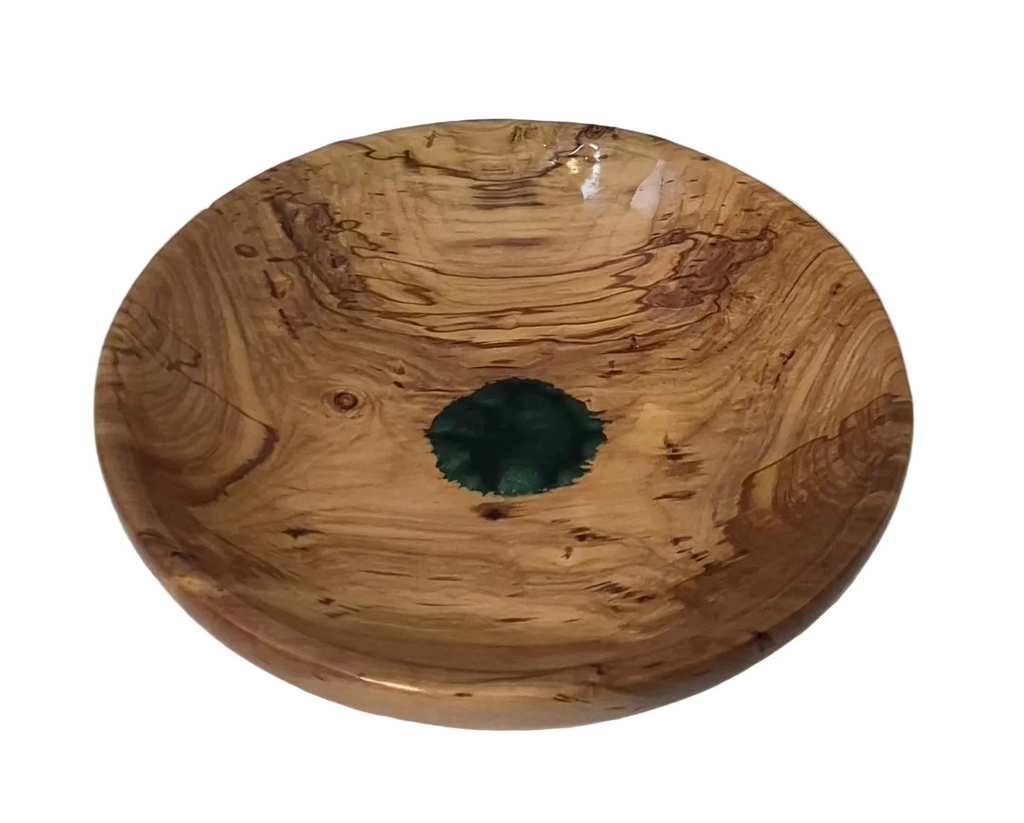 Turtle Shell