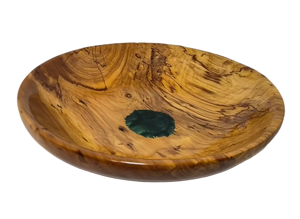 Turtle Shell