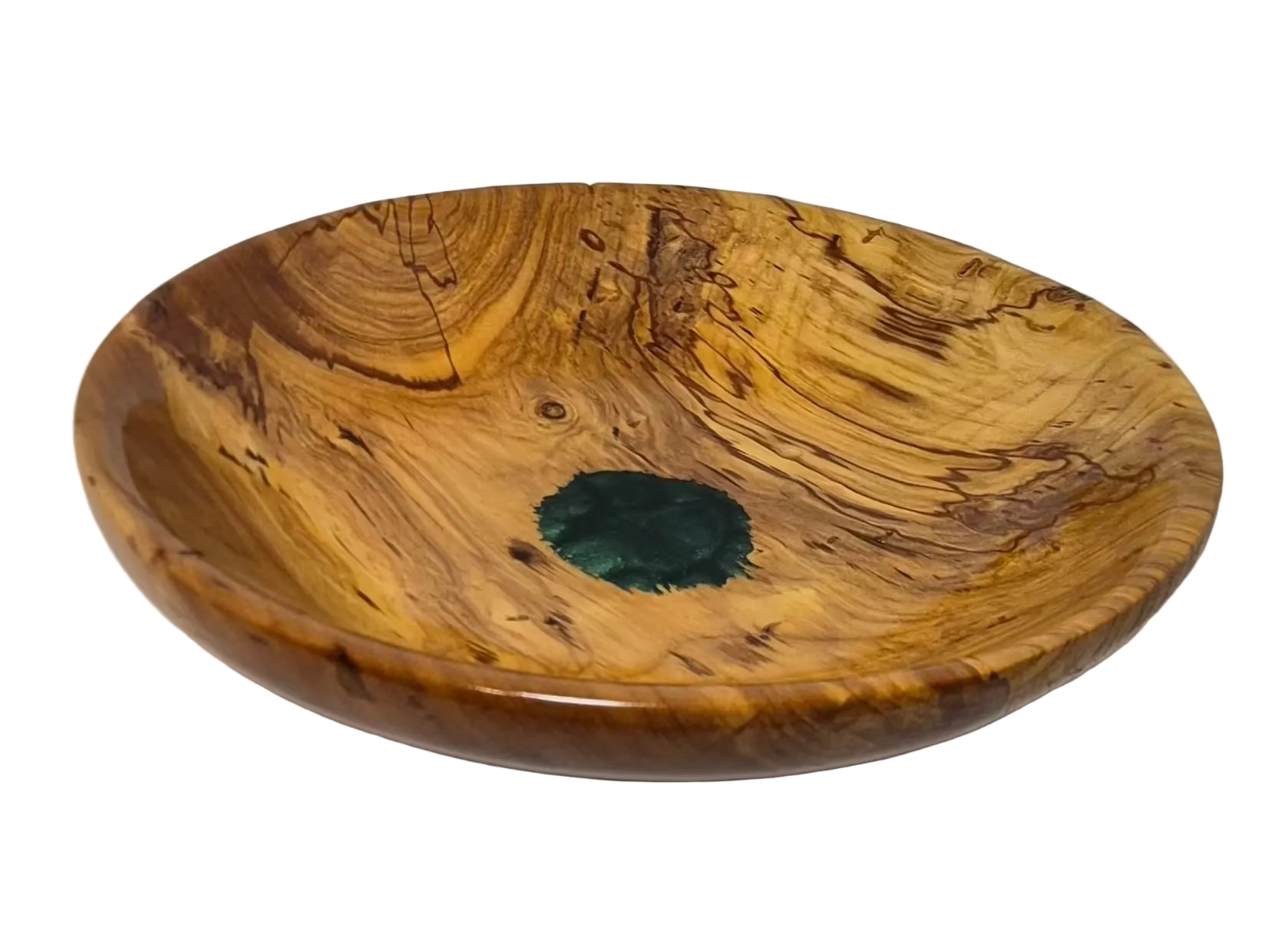 Turtle Shell